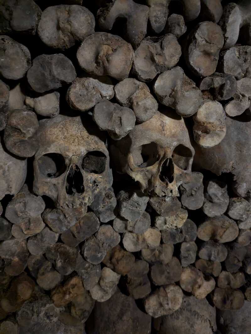 Two skulls surrounded by bones