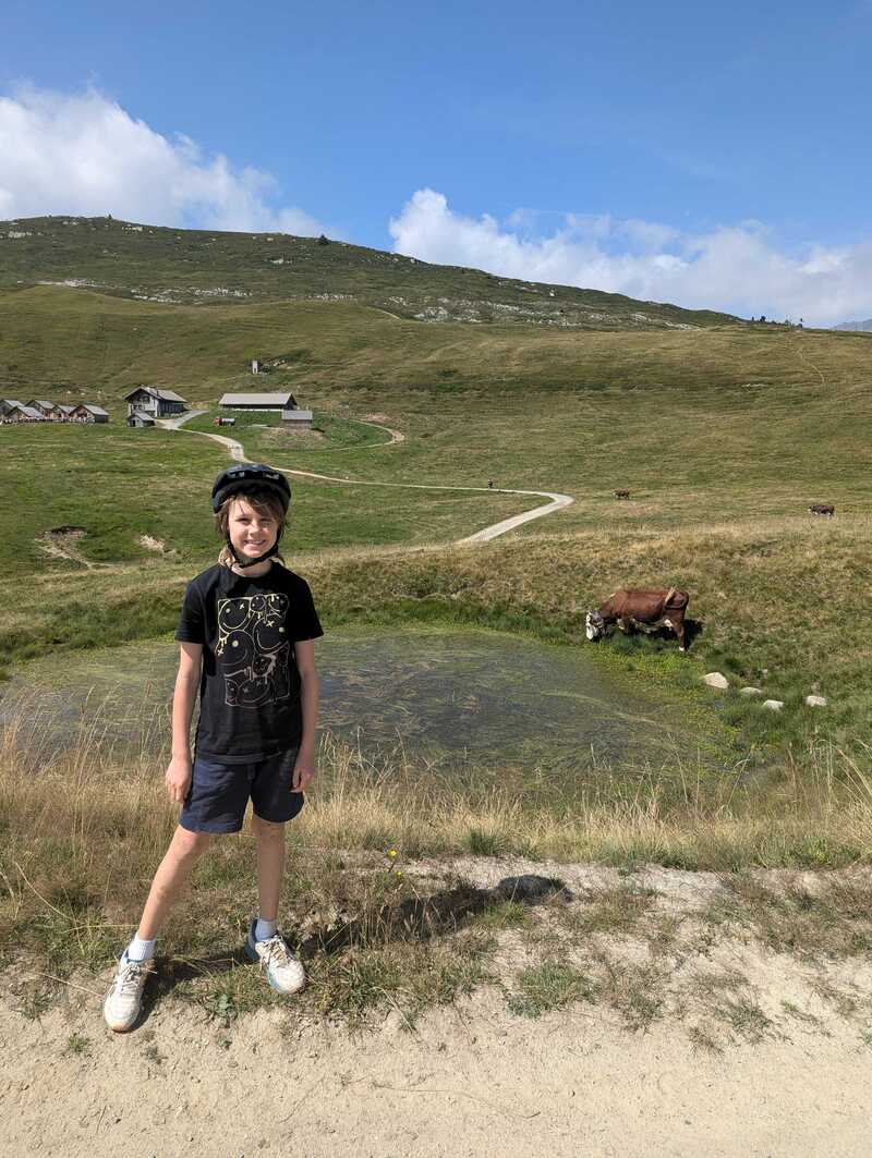 Jake and a cow grazing in a meadow