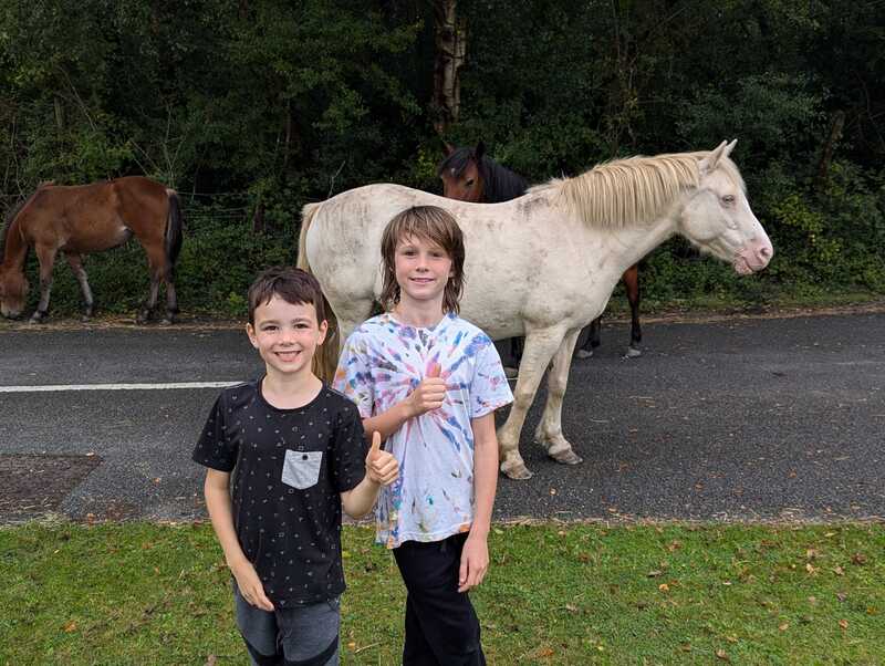 Jake, Miles and wild horses